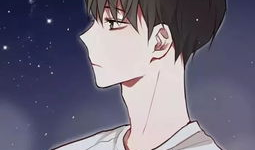 动漫男,探寻校园英雄的成长轨迹